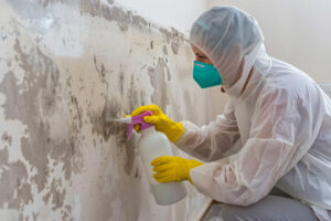 Mold Inspection